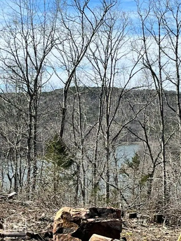 915 Canyon Rd, Higden, AR 72067 - Image #3