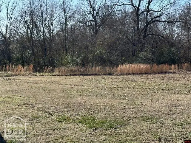 1 9th Street, Cotter, AR 72626 - Image #3