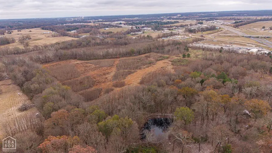 7698 Hwy 63, Bono, AR 72416 - Image #3