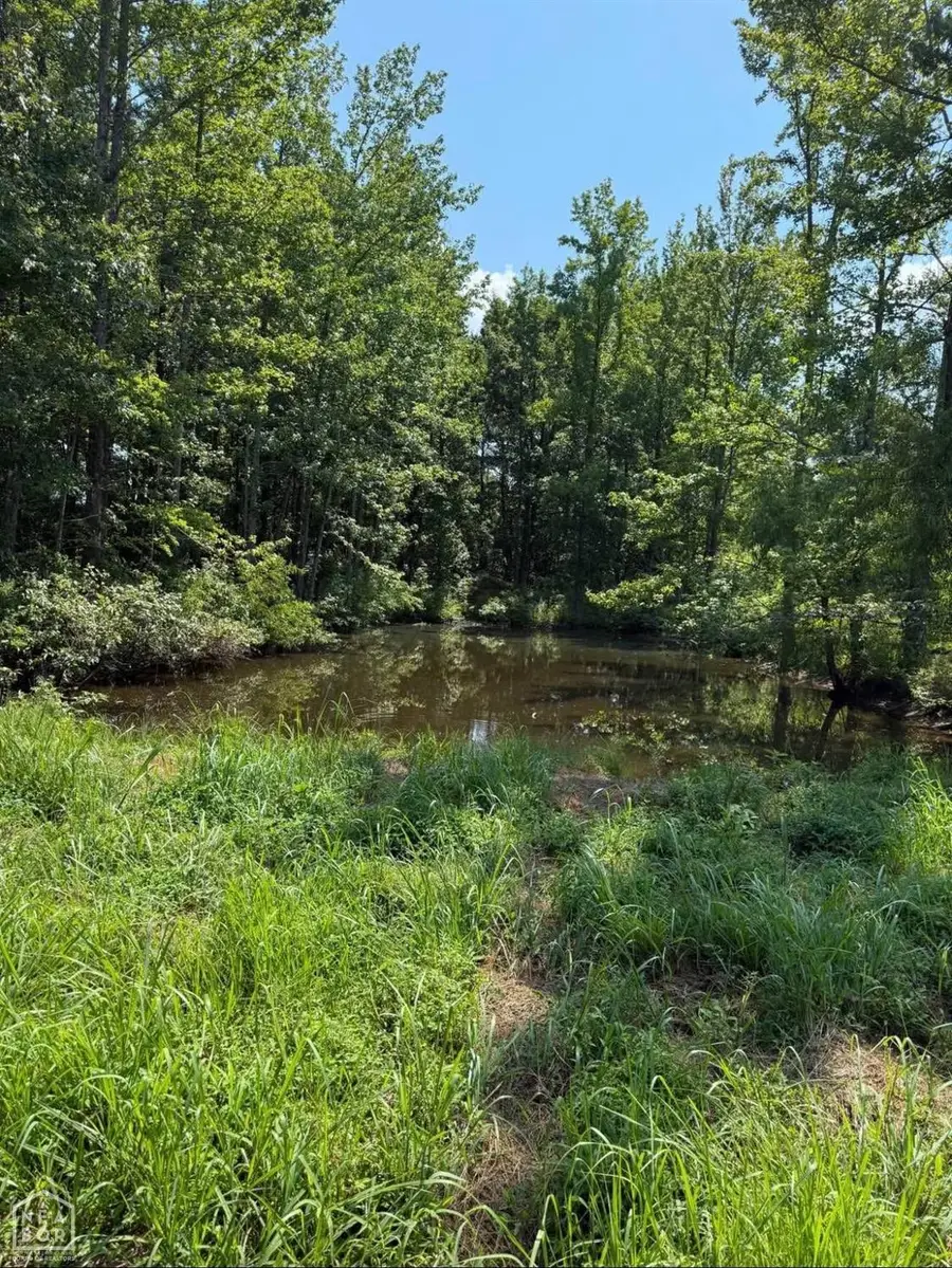 13 Greene 940 Road #.32, Paragould, AR 72450 - Image #2