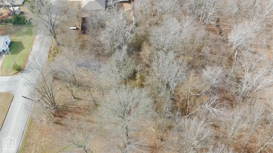 4109 Cedar Heights, Paragould, AR 72450 - Image #3