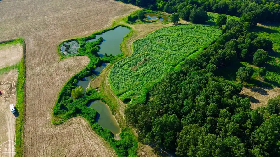 0 Highway 141, Paragould, AR 72450 - Image #2