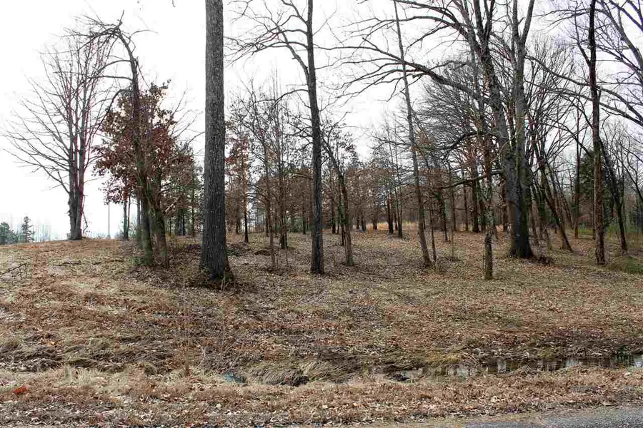 0 Diamond Valley Estates #Lot 1, Jonesboro, AR 72404 - Image #2