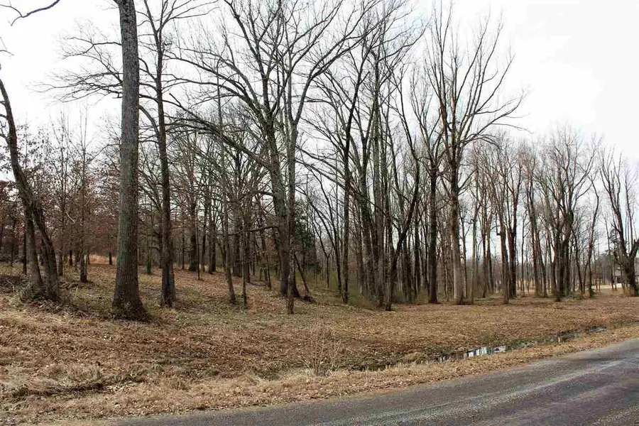 0 Diamond Valley Estates #Lot 1, Jonesboro, AR 72404 - Image #3