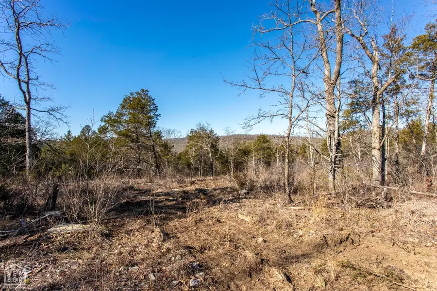999 Buck Ridge Lane, Williford, AR 72482 - Image #2
