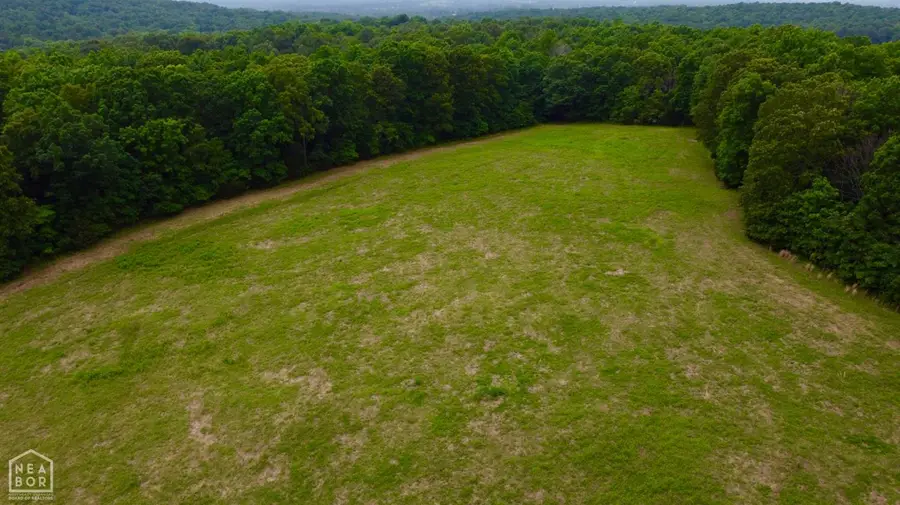 0 Cokley Rd., Warm Springs, AR 72478 - Image #3