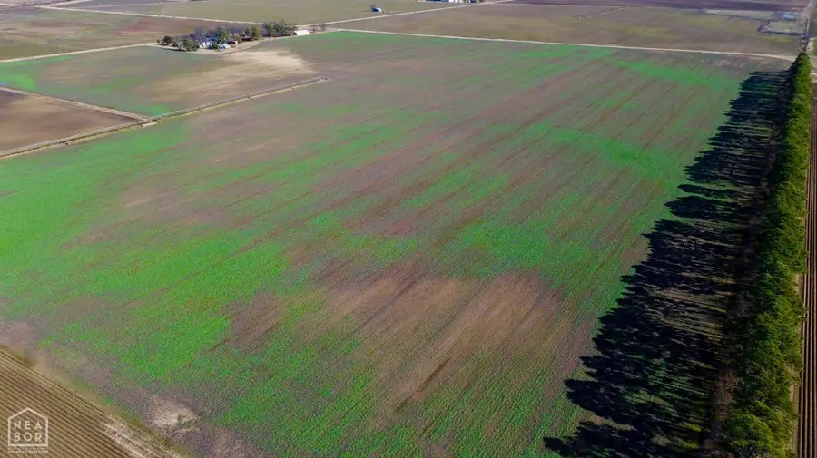 1393 Cr 508, Rector, AR 72461 - #3