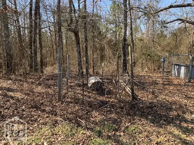 531 Peter Martin Hill Road, Cave City, AR 72521 - #2