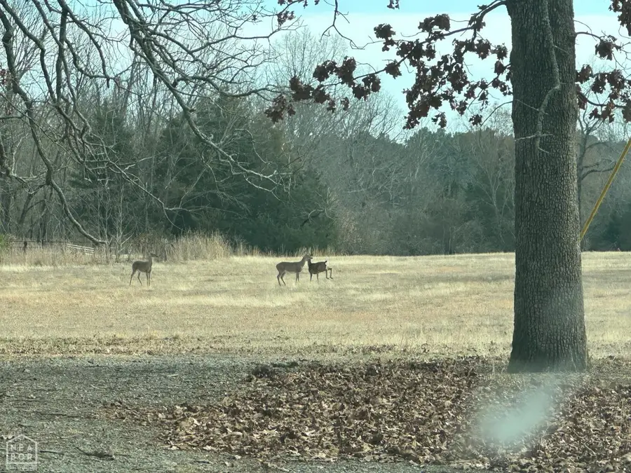 290 Cochise Road, Higden, AR 72067 - #3