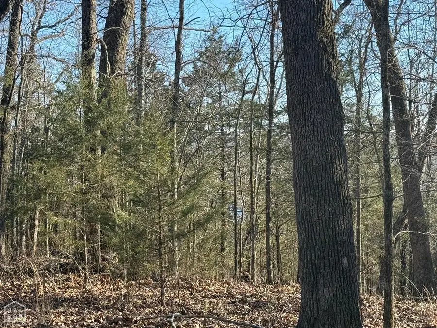 1516 Panther Cove Drive, Mountain Home, AR 72653 - #2