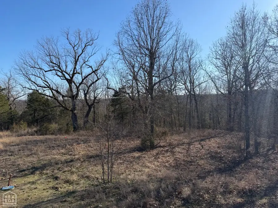 1516 Panther Cove Drive, Mountain Home, AR 72653 - #3