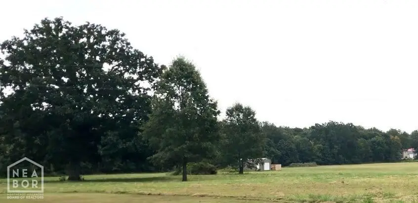 3 County Road 9602 #+/-acres, Brookland, AR 72417 - #2