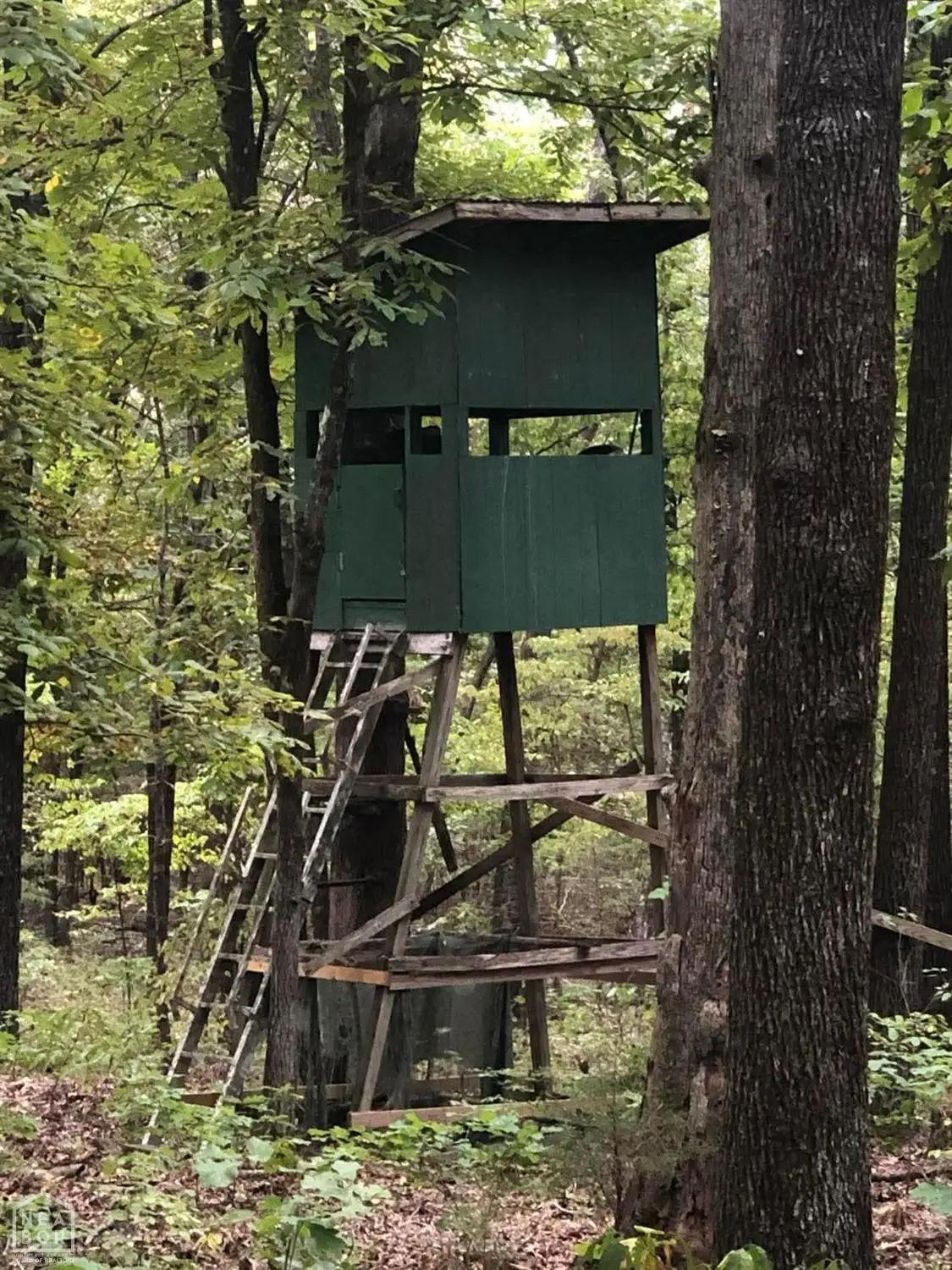 51 Buck Ridge Lane #52, Williford, AR 72482 - #1