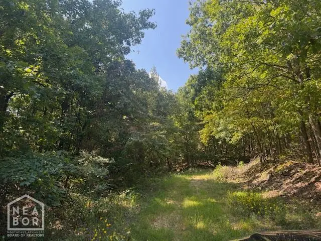 74250 Greene 742 Road, Paragould, AR 72450 - #1