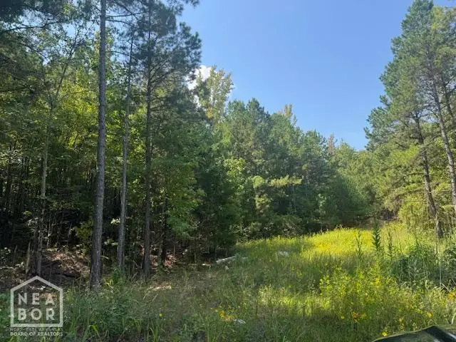 74250 Greene 742 Road, Paragould, AR 72450 - #2