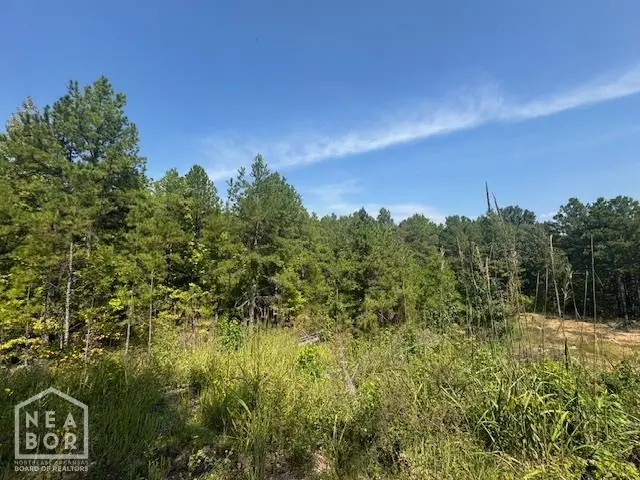 74250 Greene 742 Road, Paragould, AR 72450 - #3