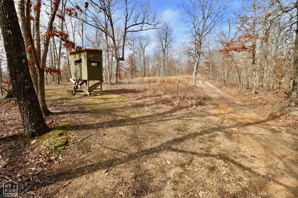 0 Baker Cemetery Rd., Williford, AR 72482 - #1