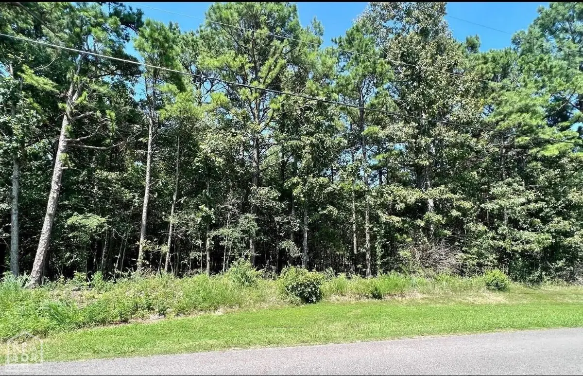 1 Acre- Mountain Home Rd, Paragould, AR 72450 - #1