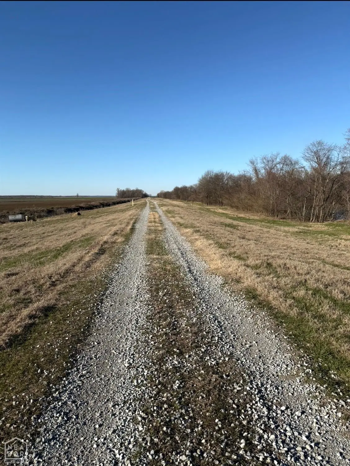 7785 Highway 412, Paragould, AR 72450 - #1