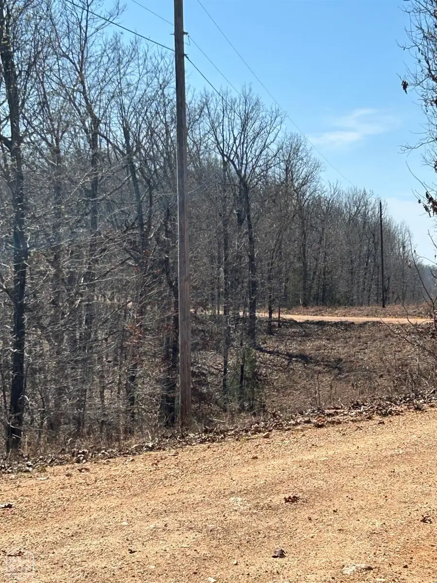 71 Mcfadden & Springwood Road #Acres, Hardy, AR 72542 - #2