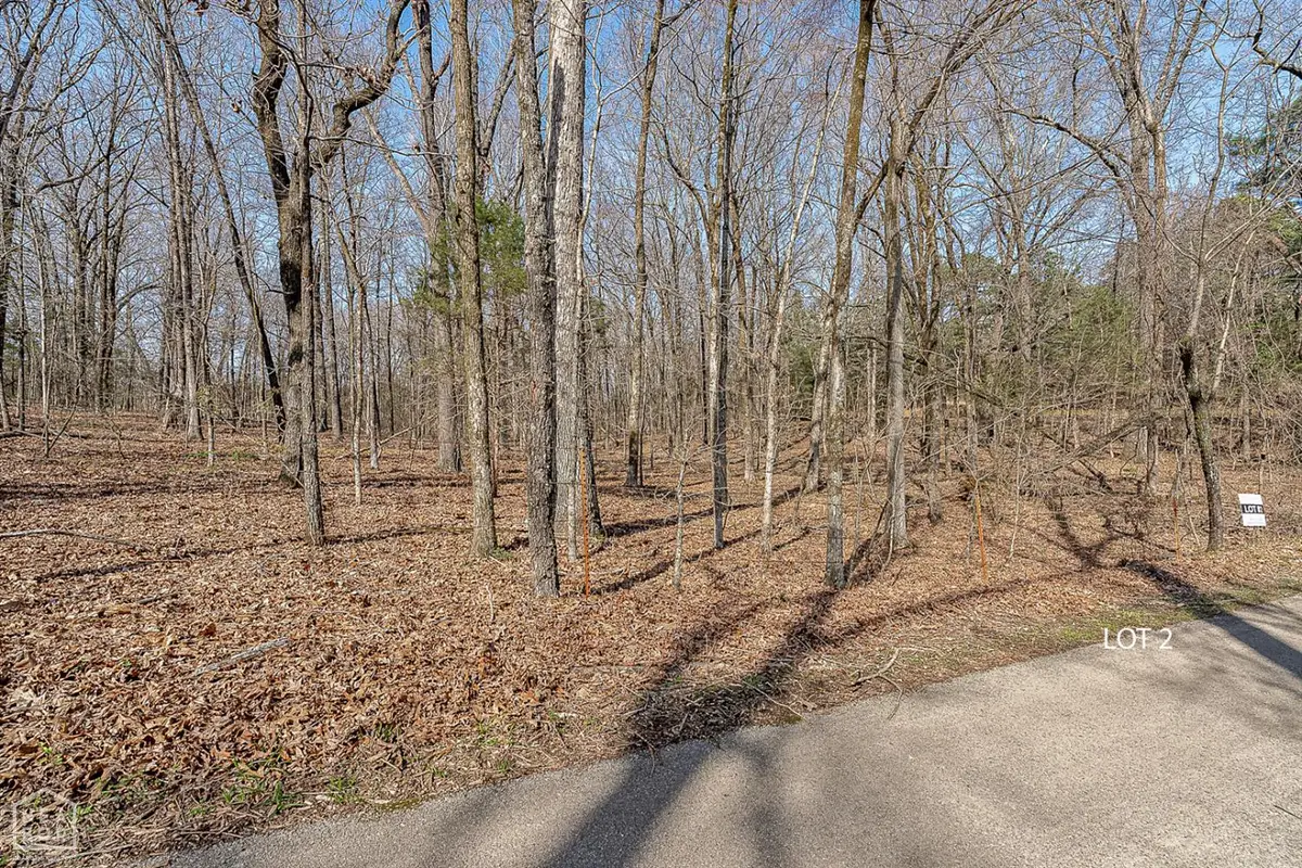 2 Highway 351, Jonesboro, AR 72405 - #1