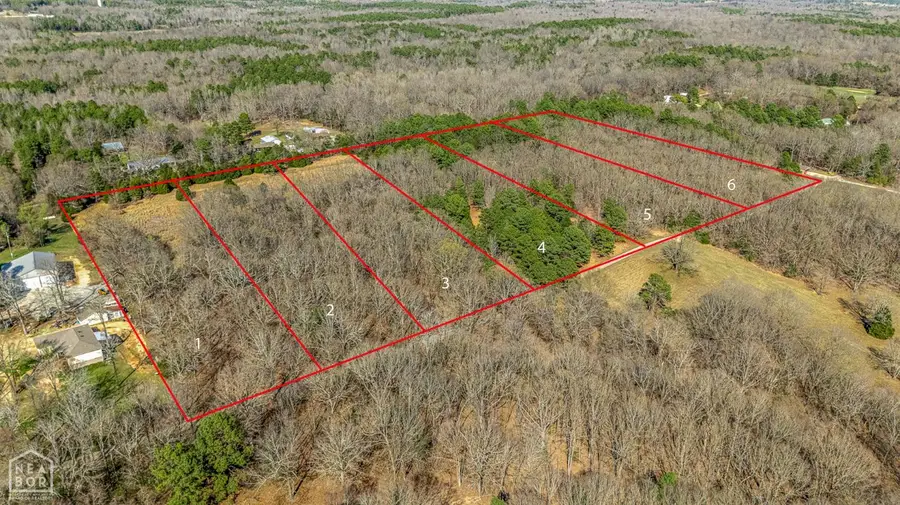 4 Highway 351, Jonesboro, AR 72405 - #3