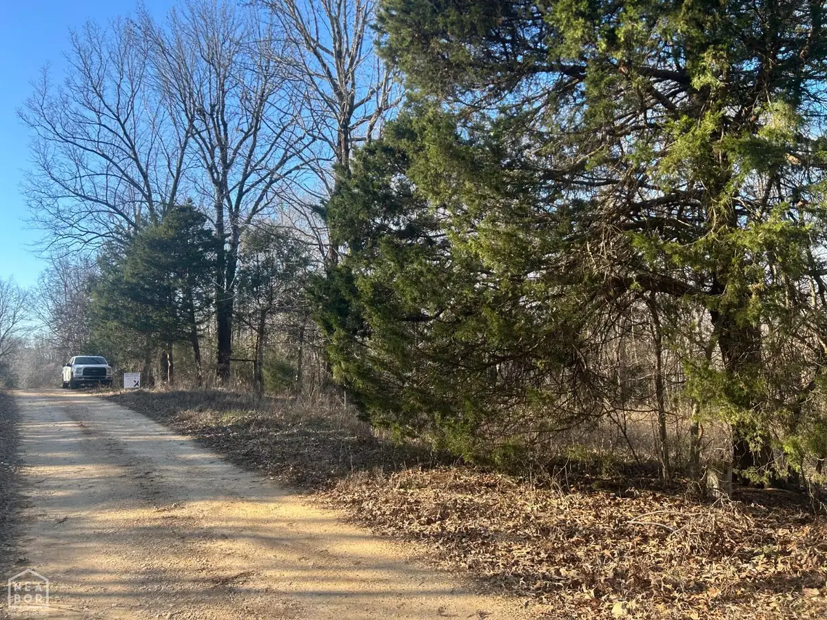 1100 Cr 796, Powell, AR 72405 - #1