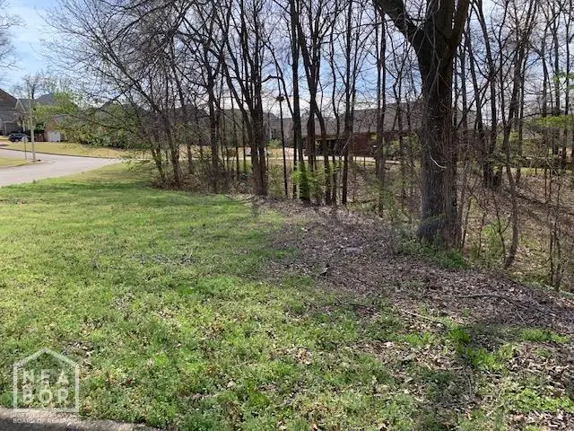 900 Rolling Forest Drive, Jonesboro, AR 72404 - #2