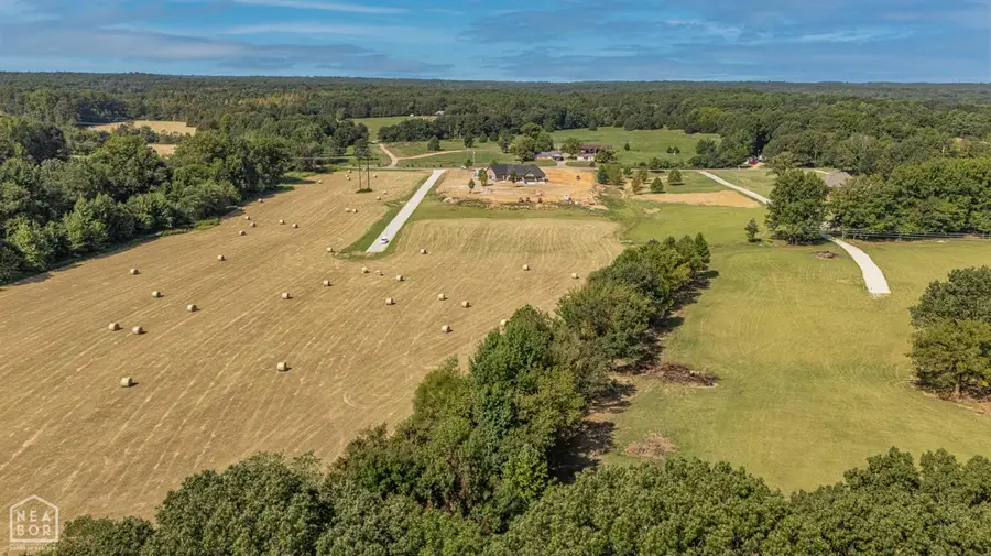 5 Acres Greene 726 Rd Tract 4, Paragould, AR 72450 - #3