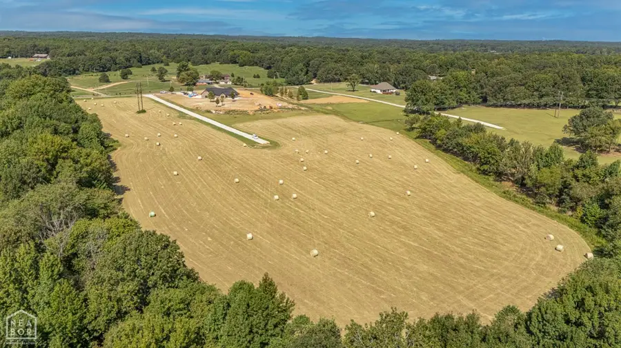 5 Acres Greene 726 Rd Tract 3, Paragould, AR 72450 - #3