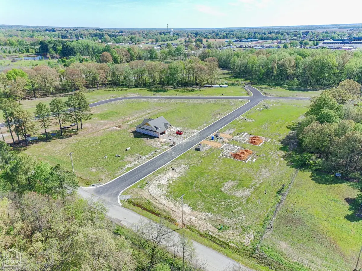 107 Horseshoe Creek Drive, Brookland, AR 72417 - #1