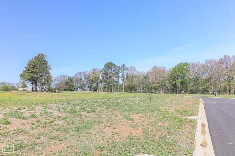 103 Horseshoe Creek Drive, Brookland, AR 72417 - #2
