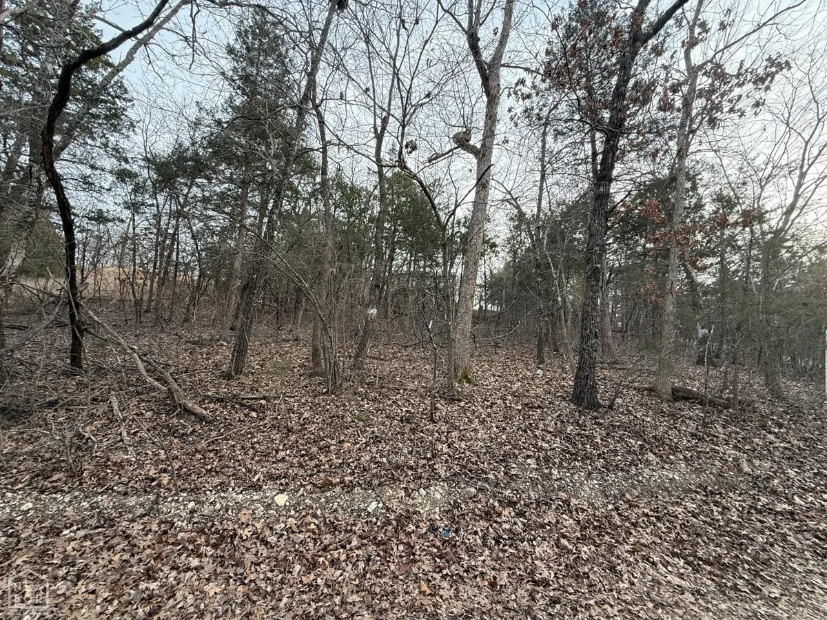 1 Mallard Drive, Diamond City, AR 72630 - #1