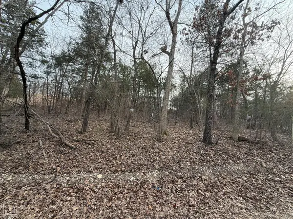 1 Mallard Drive, Lead Hill, AR 72630