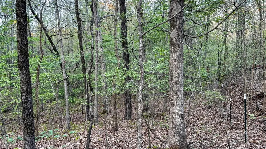 1080 County Road 757, Jonesboro, AR 72405 - #2