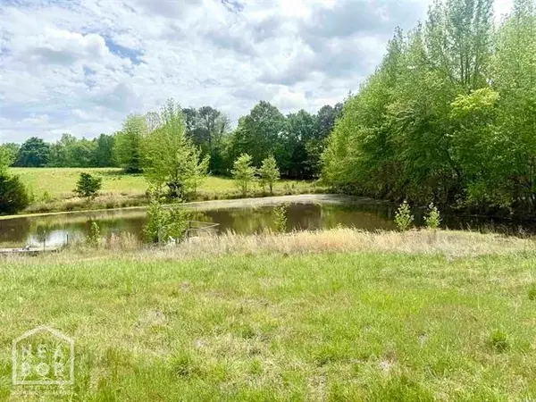 73 Greene 620 Road, Paragould, AR 72450
