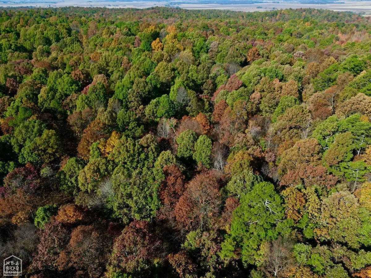 1 000 Greene 125 Road, Dalton, AR 72450 - #1