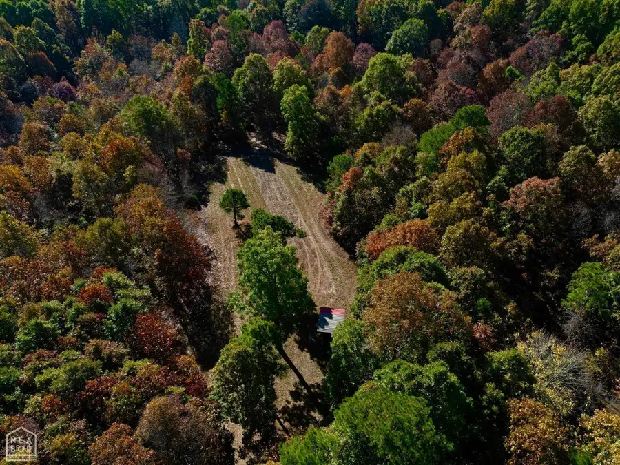 1 000 Greene 125 Road, Dalton, AR 72450 - #2