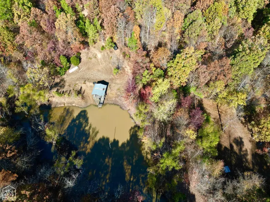 1 000 Greene 125 Road, Dalton, AR 72450 - #3