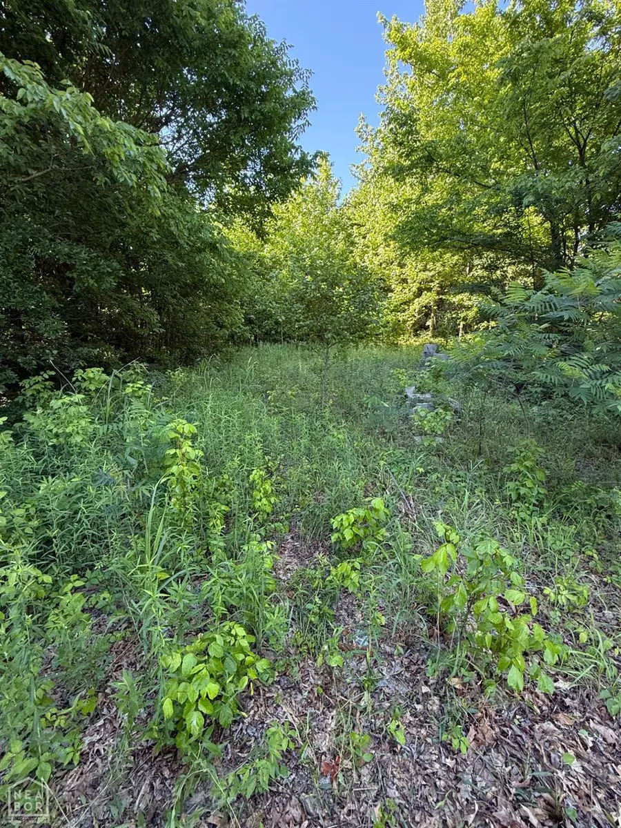 718 County Road 406, Jonesboro, AR 72404 - #3