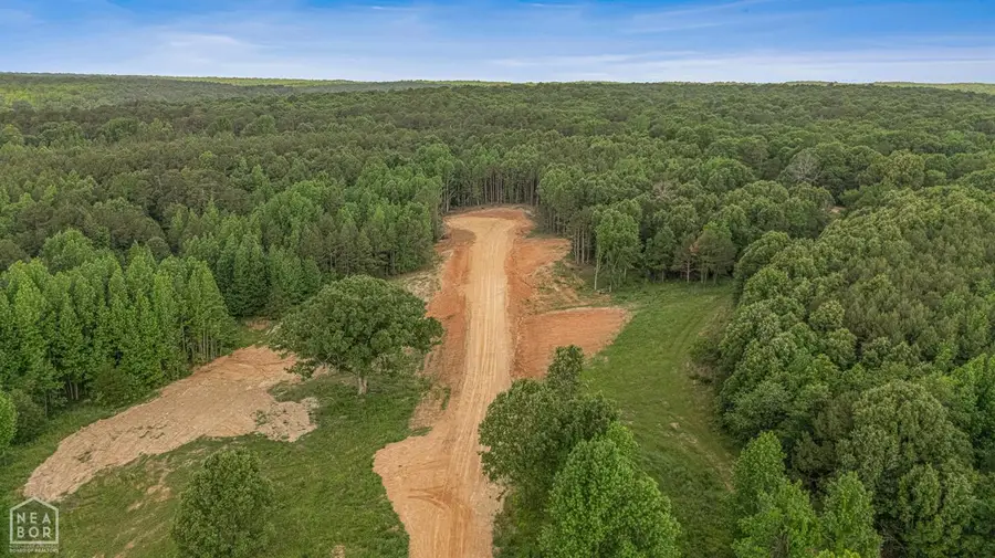 3 Haven Hills Cove, Paragould, AR 72450 - #2