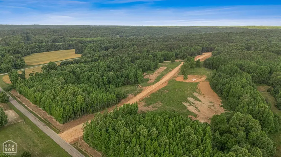 3 Haven Hills Cove, Paragould, AR 72450 - #3