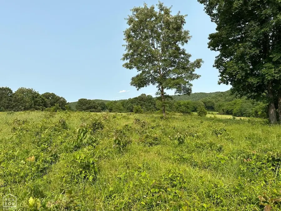 1 Mc 5014, Zinc Township, AR 72633 - #3