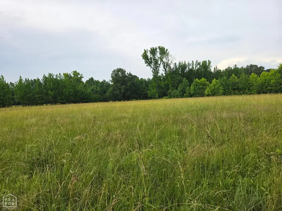2 Greene 611, Paragould, AR 72450 - #3