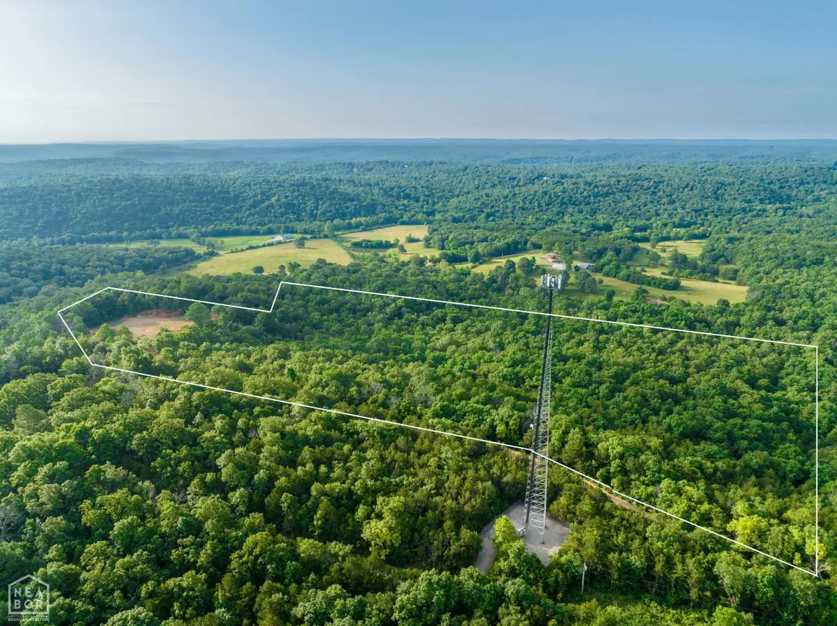 220 Ark Traveler Road, Hardy, AR 72542 - #1