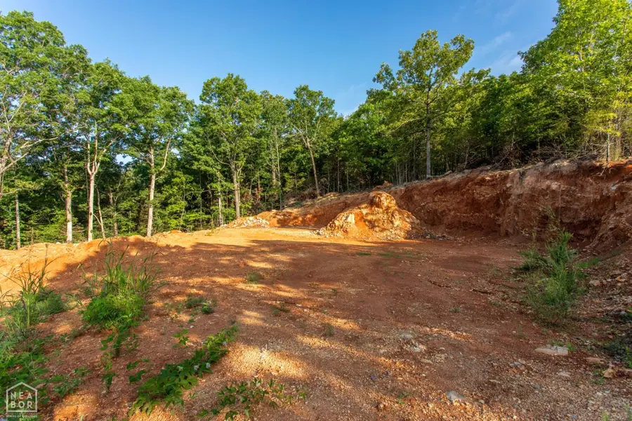 220 Ark Traveler Road, Hardy, AR 72542 - #2