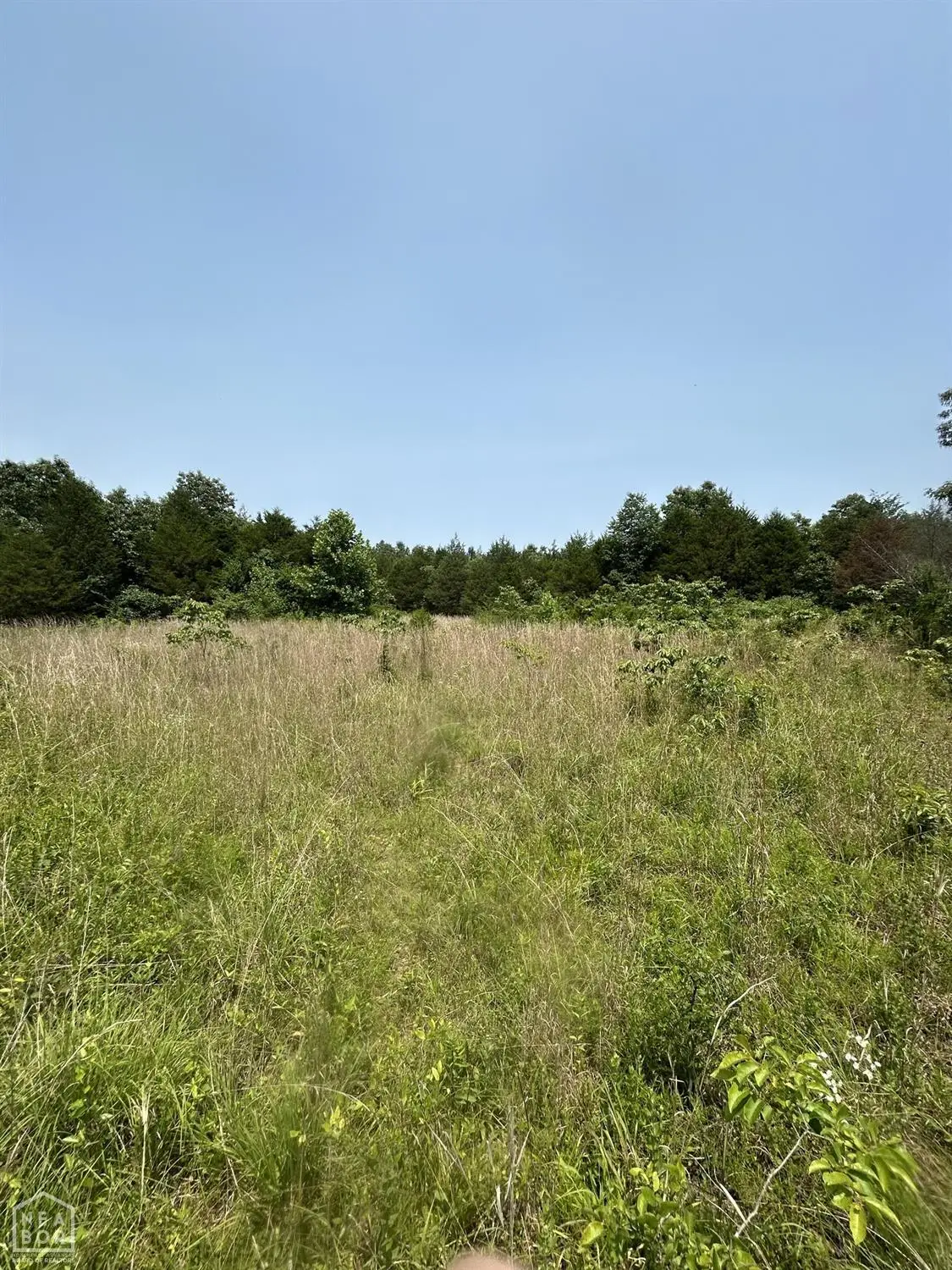 709 Lawrence Road 145, Smithville, AR 72466 - #1