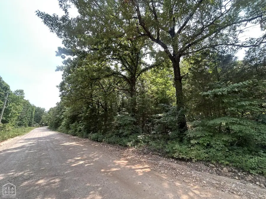 709 Lawrence Road 145, Smithville, AR 72466 - #3