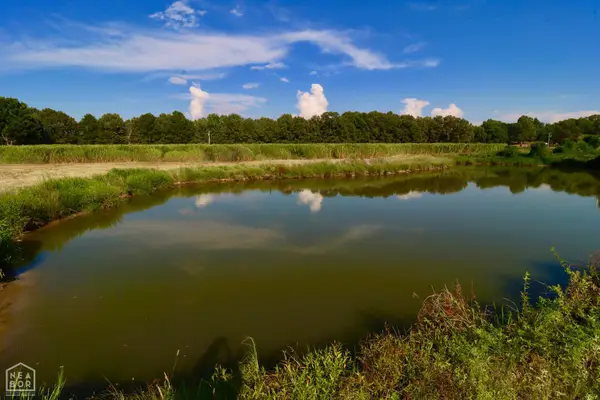 0 Highway 141, Paragould, AR 72450