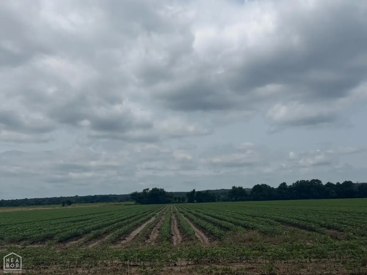 78 Pineview Rd/benson Ln #Acres, Trumann, AR 72472 - #1